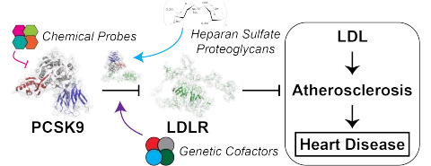 PCSK9 Project Schematic
