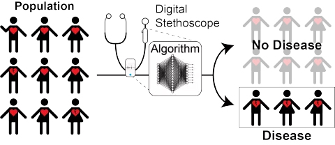Cardiac Auscultation AI Project Schematic