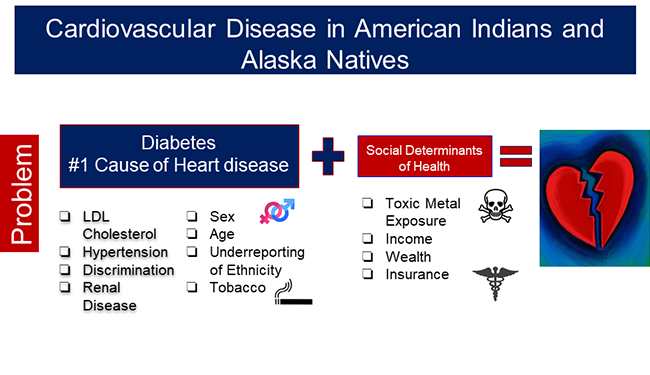 American Indians And Alaska Natives Have Disproportionately Higher