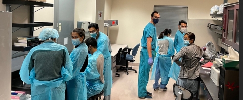 Cardiovascular fellows learn heart anatomy hands-on in a basic science lab.