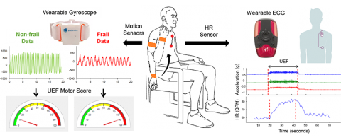 Sensor patches help measure frailty in patients with advanced heart disease.