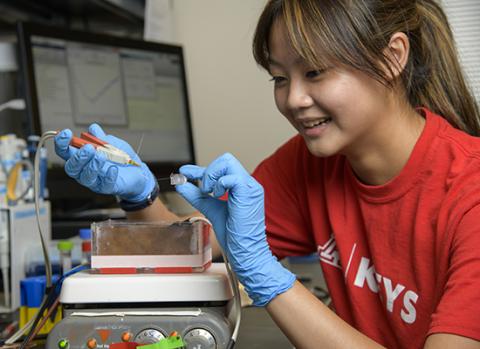 High school student Yi-Jen Yang works on a device that tests whether blood has functioning platelets that can properly aggregate and coagulate. Credit: University of Arizona Health Sciences, Kris Hanning